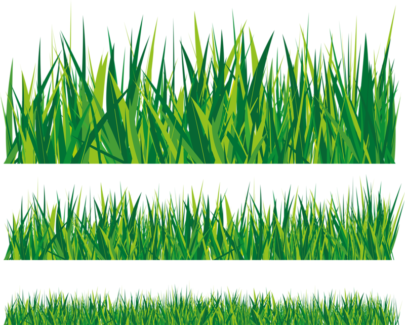 Cartoon Grass PNG Background