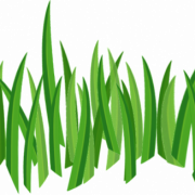 Cartoon Grass PNG Cutout