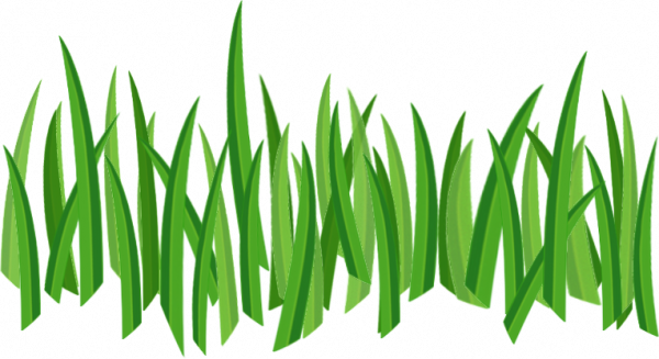 Cartoon Grass PNG Cutout