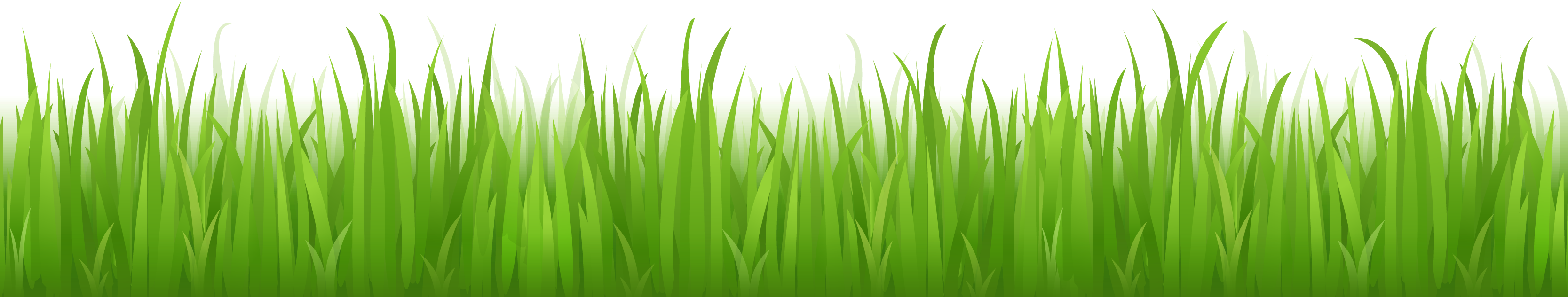 Cartoon Grass PNG Image