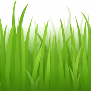 Cartoon Grass Transparent