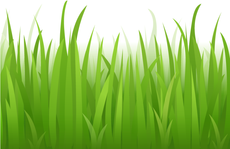 Cartoon Grass Transparent