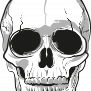 Cartoon Skull PNG Background