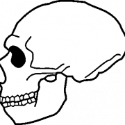 Cartoon Skull PNG Image HD