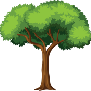 Cartoon Tree No Background