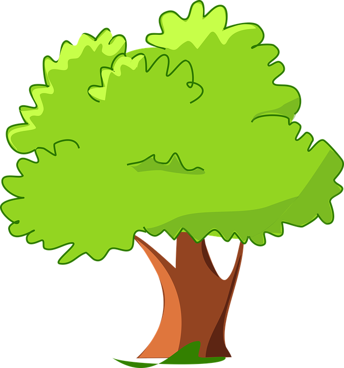Cartoon Tree PNG Cutout