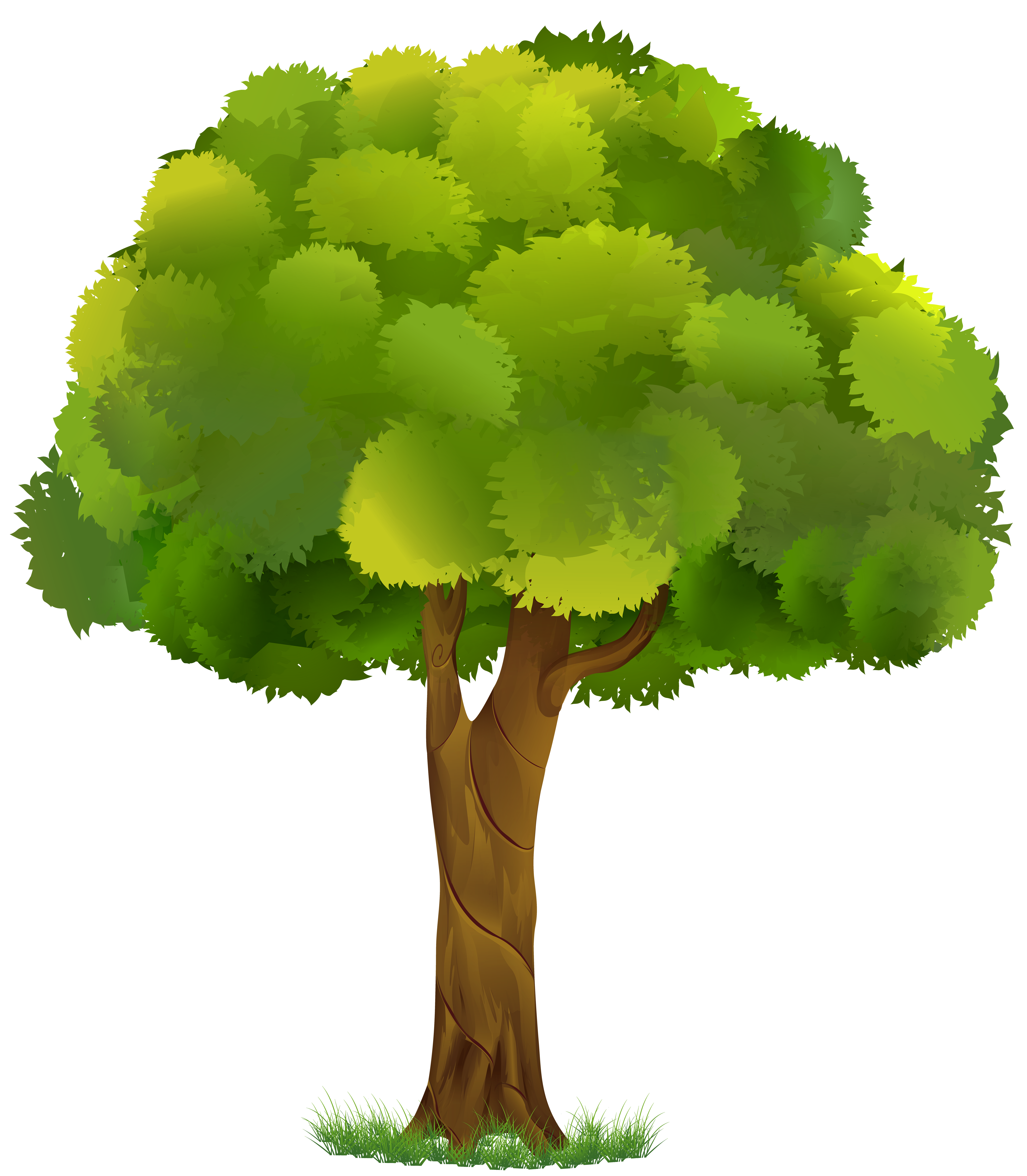 Cartoon Tree PNG Image HD