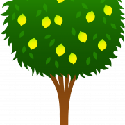 Cartoon Tree PNG Images HD