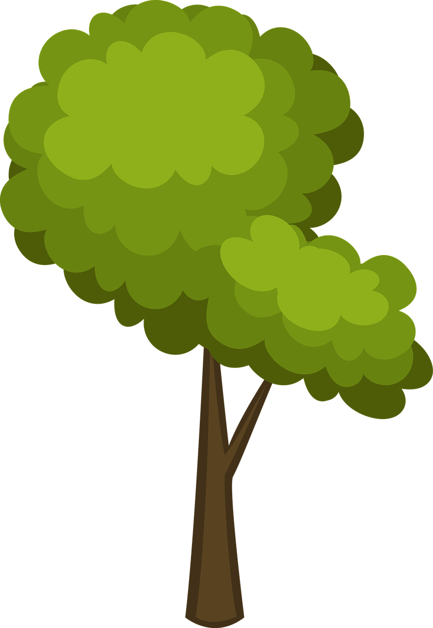 Cartoon Tree PNG Picture