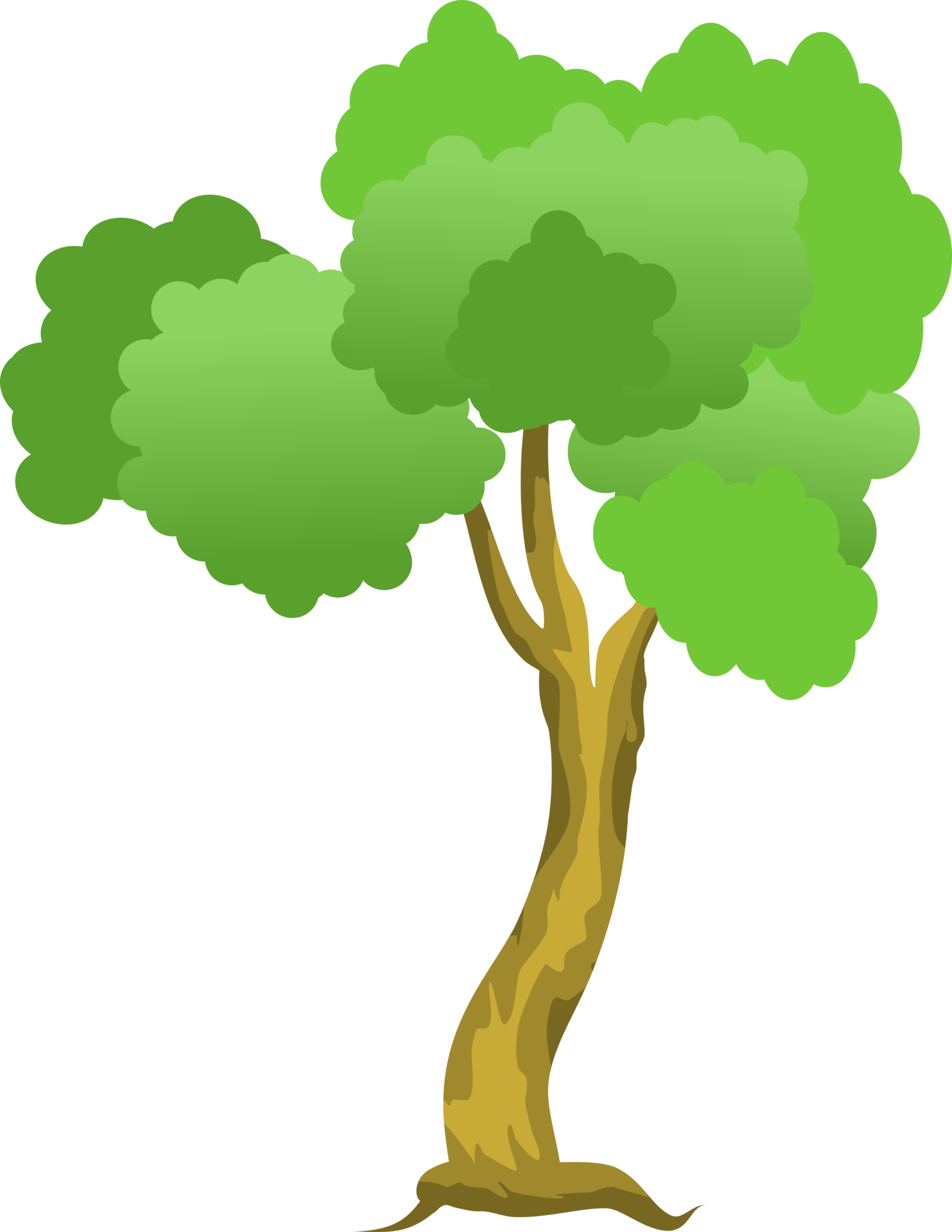Cartoon Tree Transparent