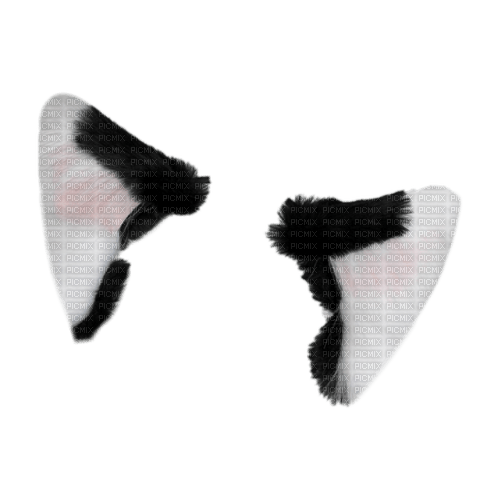 Cat Ear Background PNG