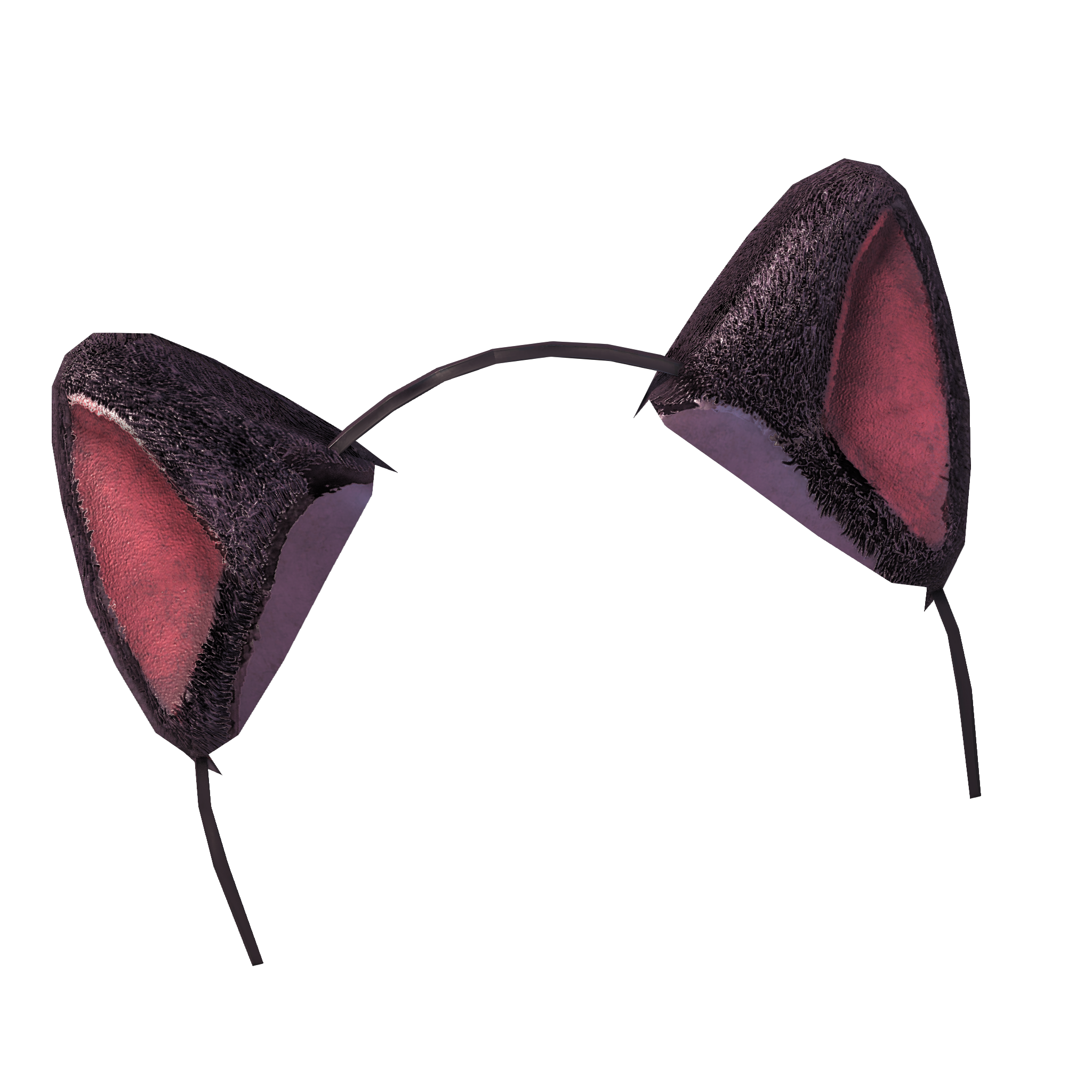 Cat Ear No Background