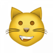 Cat Emoji PNG Image