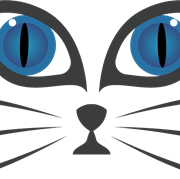 Cat Face PNG