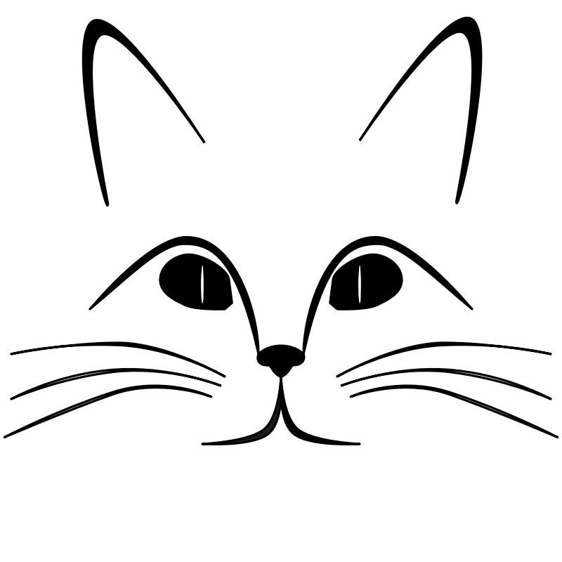 Cat Face PNG Background