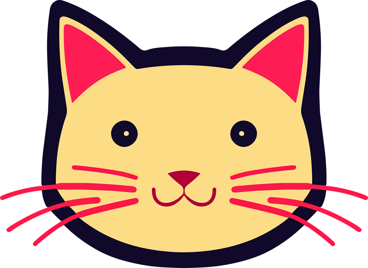 Cat Face PNG Free Image