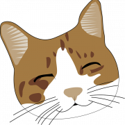 Cat Face PNG HD Image