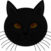 Cat Face PNG Image