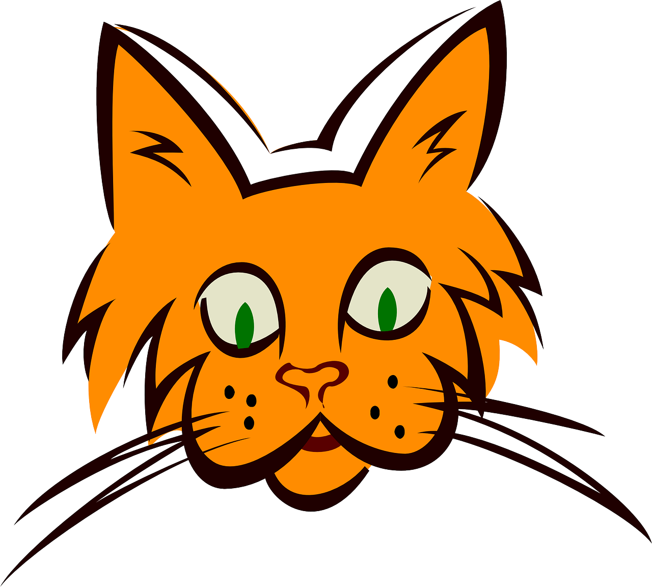 Cat Face PNG Image HD