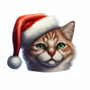 Cat In The Hat PNG Image