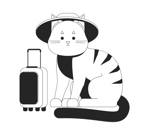 Cat In The Hat PNG Picture