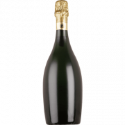 Champagne Bottle PNG Cutout