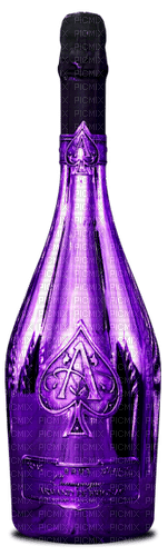 Champagne Bottle PNG Photo