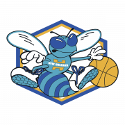Charlotte Hornets Logo No Background