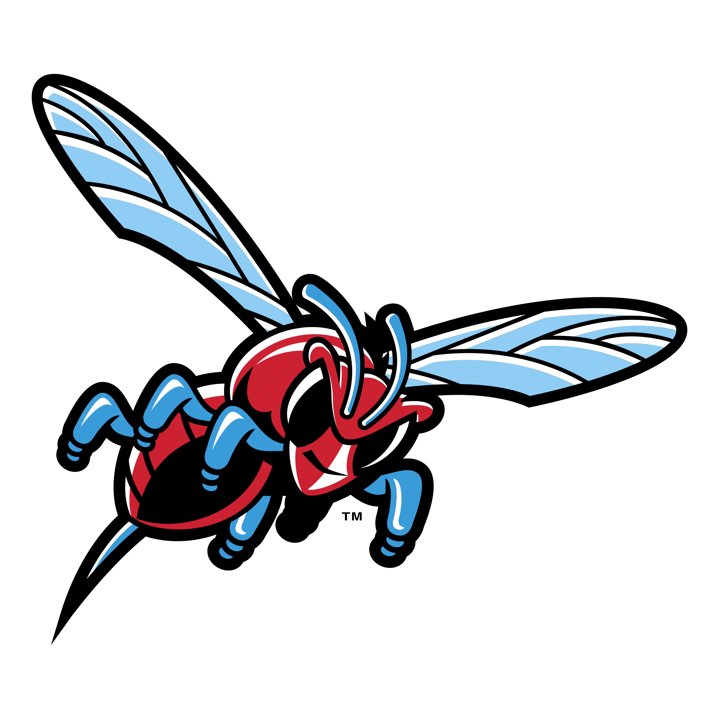 Charlotte Hornets Logo PNG Clipart