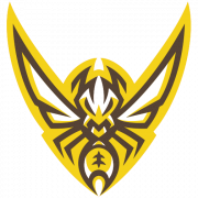 Charlotte Hornets Logo PNG HD Image