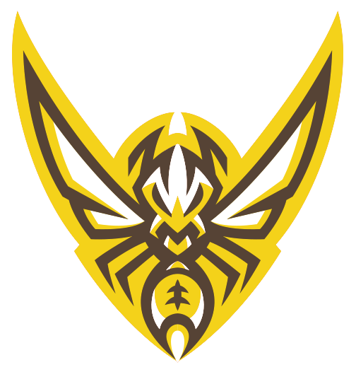 Charlotte Hornets Logo PNG HD Image