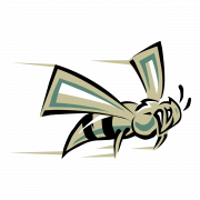Charlotte Hornets Logo PNG Image File