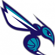 Charlotte Hornets Logo PNG Photos