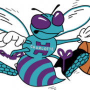 Charlotte Hornets Logo PNG Pic