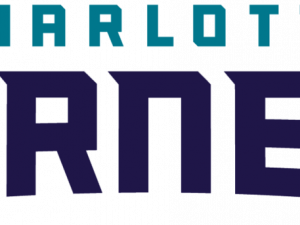 Charlotte Hornets Logo PNG Picture