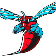 Charlotte Hornets Logo Transparent