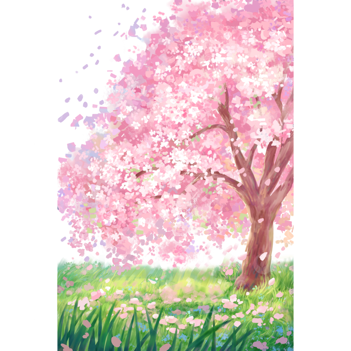 Cherry Blossom Tree No Background