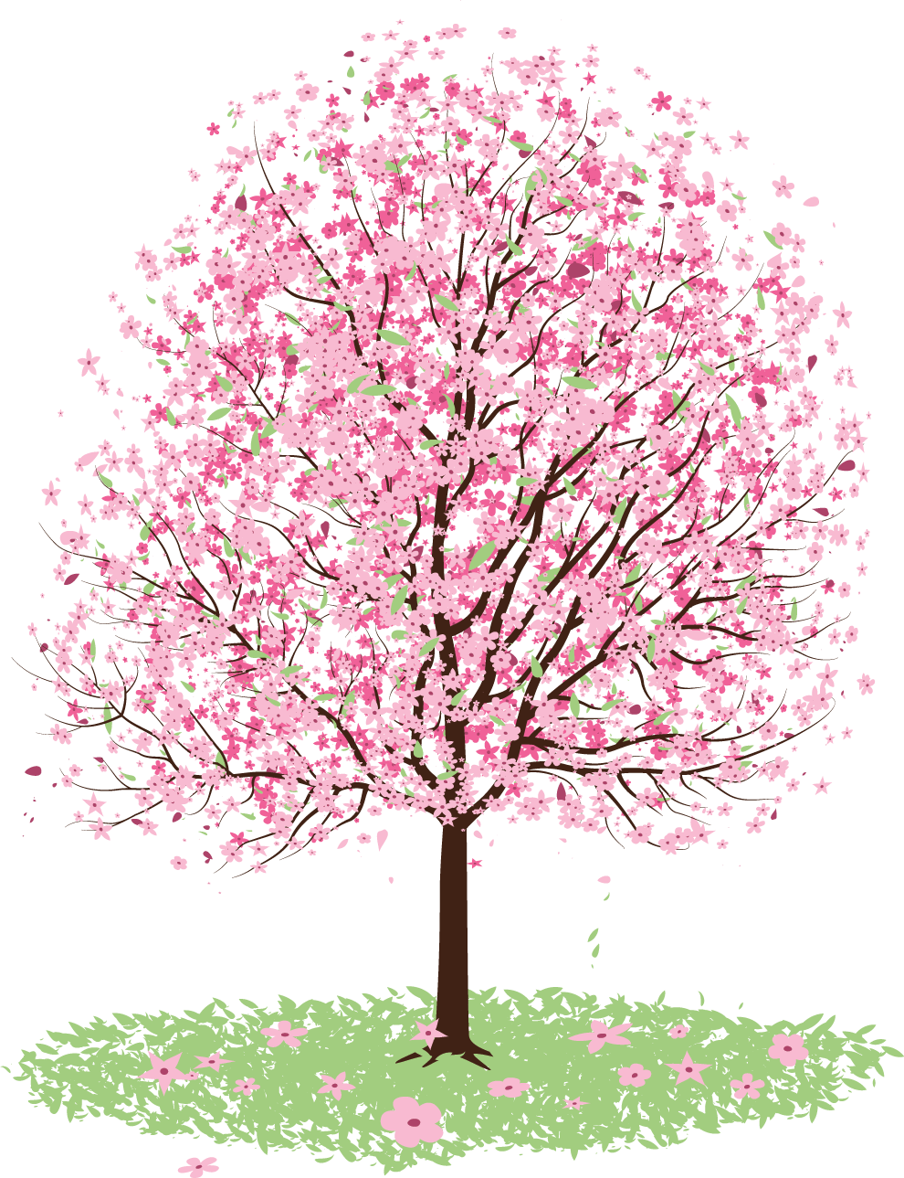 Cherry Blossom Tree PNG Clipart