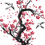 Cherry Blossom Tree PNG Image File