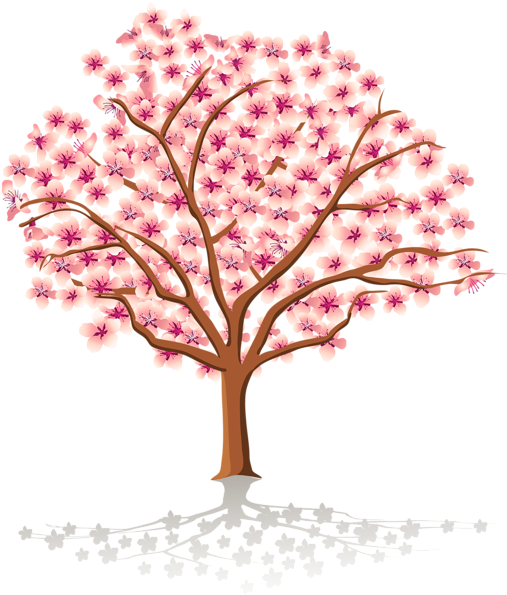 Cherry Blossom Tree PNG Image HD