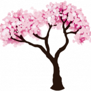 Cherry Blossom Tree PNG Photos