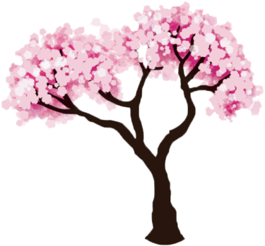 Cherry Blossom Tree PNG Photos