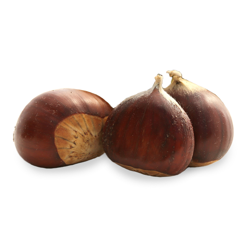 Chestnut PNG