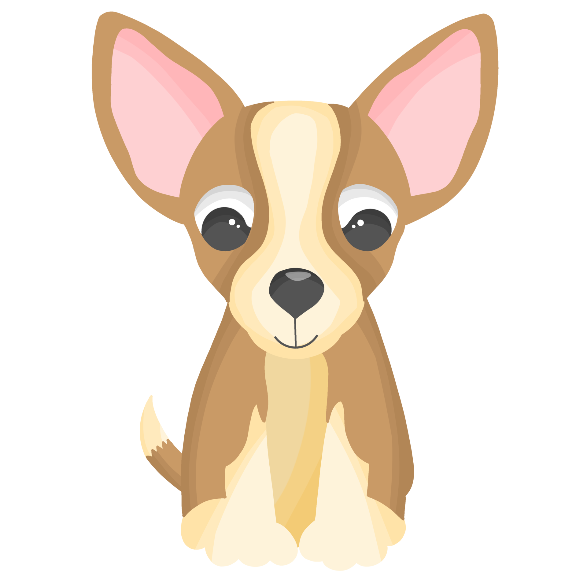 Chihuahua Background PNG