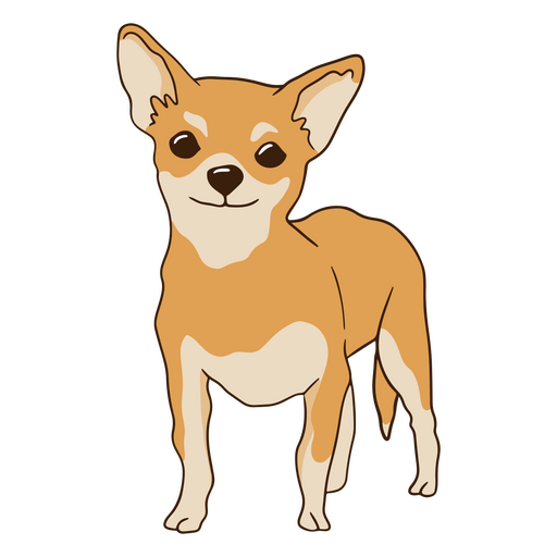 Chihuahua PNG Clipart