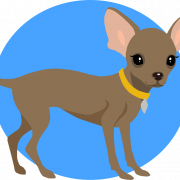 Chihuahua PNG Images