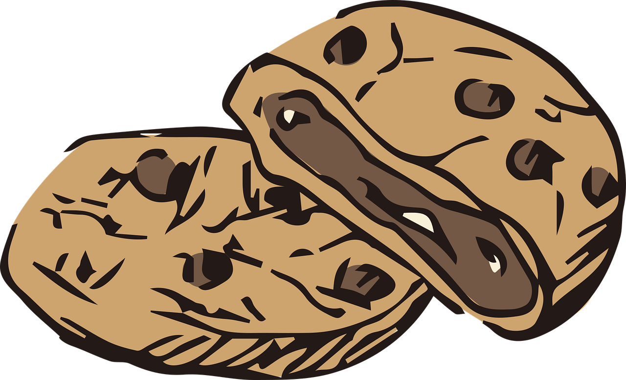 Chocolate Chip Cookie PNG Picture