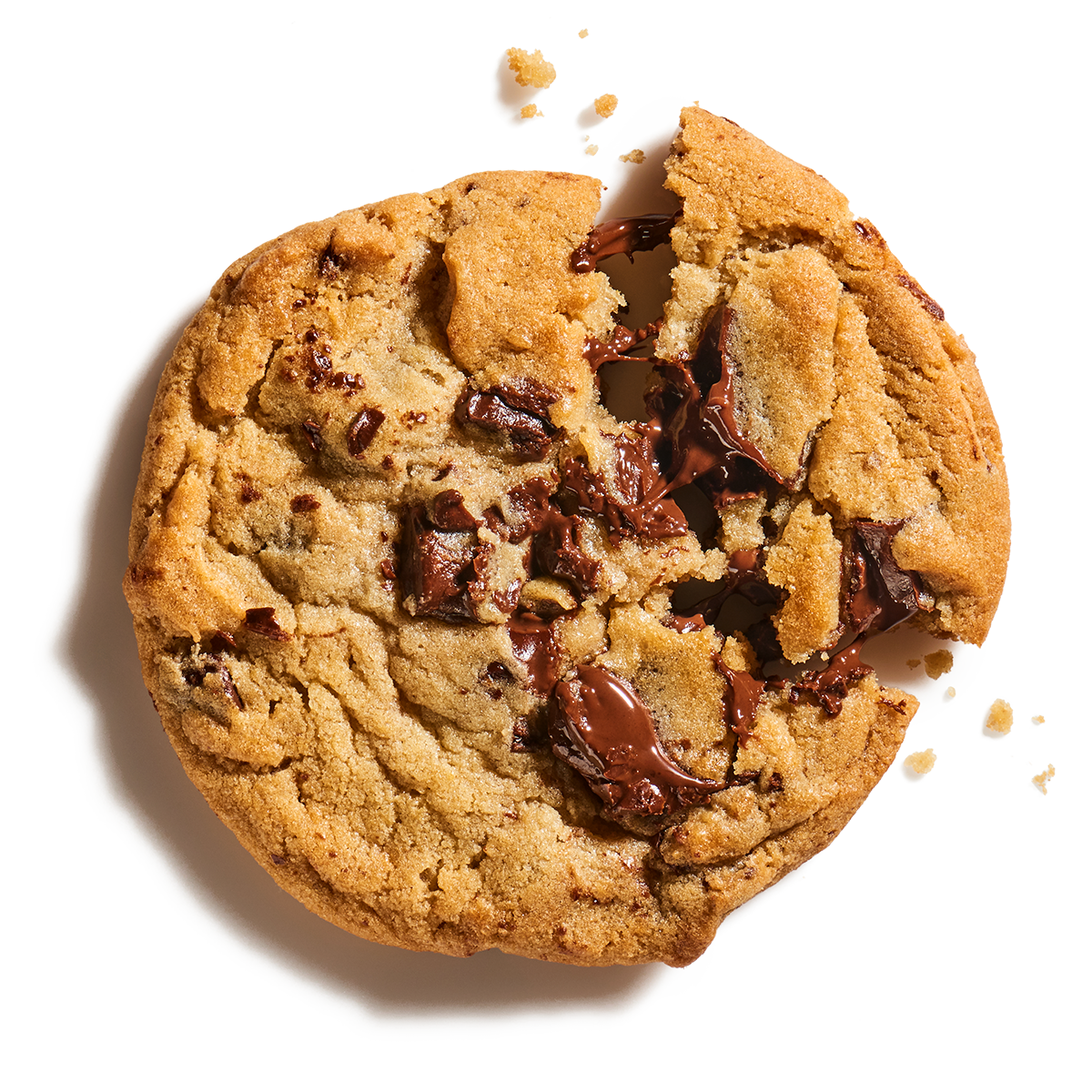 Chocolate Chip Cookie PNG