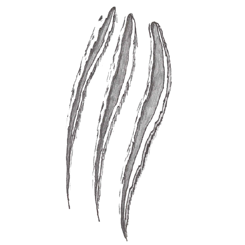 Claw Mark PNG Cutout