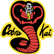 Cobra Kai PNG Photo